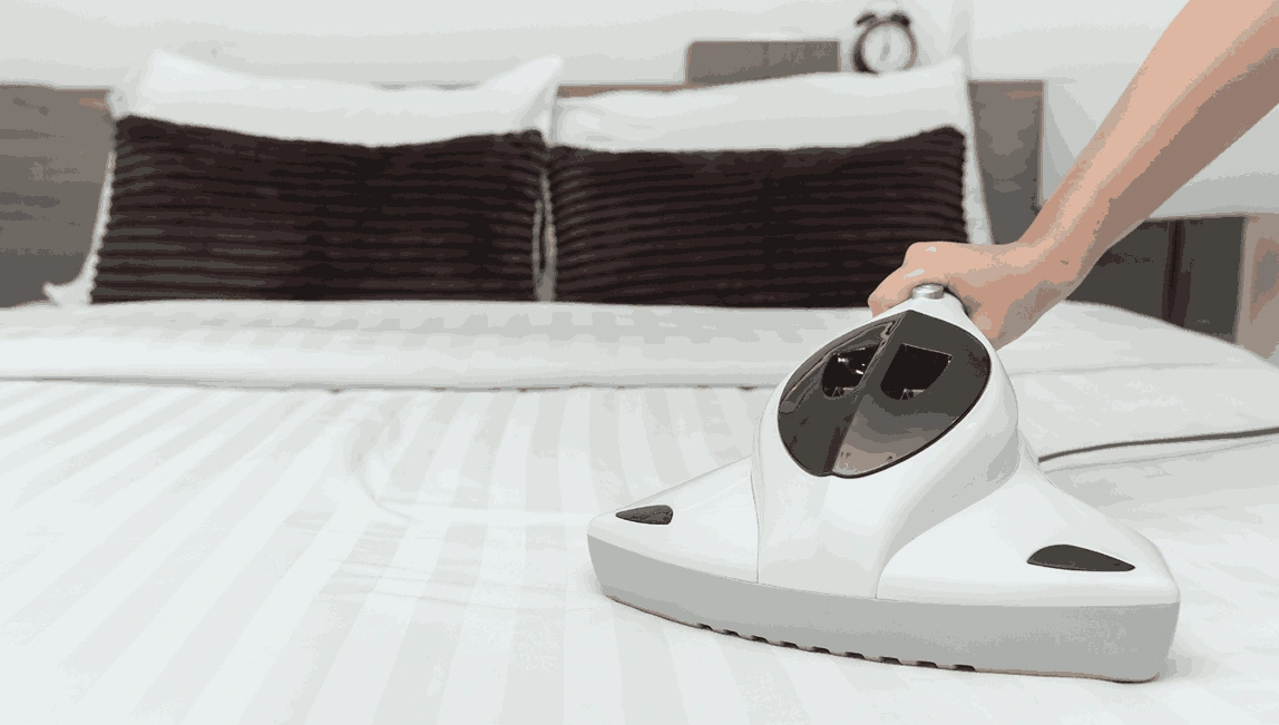 Professional Mattress Cleaning Upwey